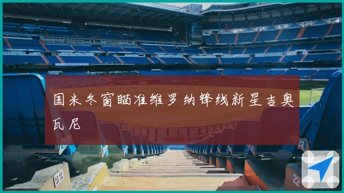 国米冬窗瞄准维罗纳锋线新星吉奥瓦尼
