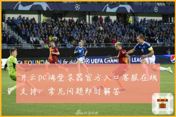 开云pc端登录器官方入口客服在线支持，常见问题即时解答
